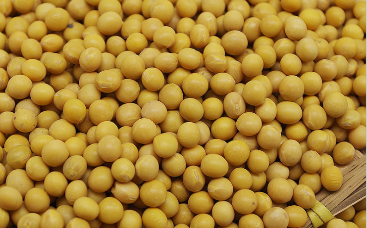 HLM飼料立式磨粉機磨黃豆 HLM飼料立式磨粉機磨黃豆